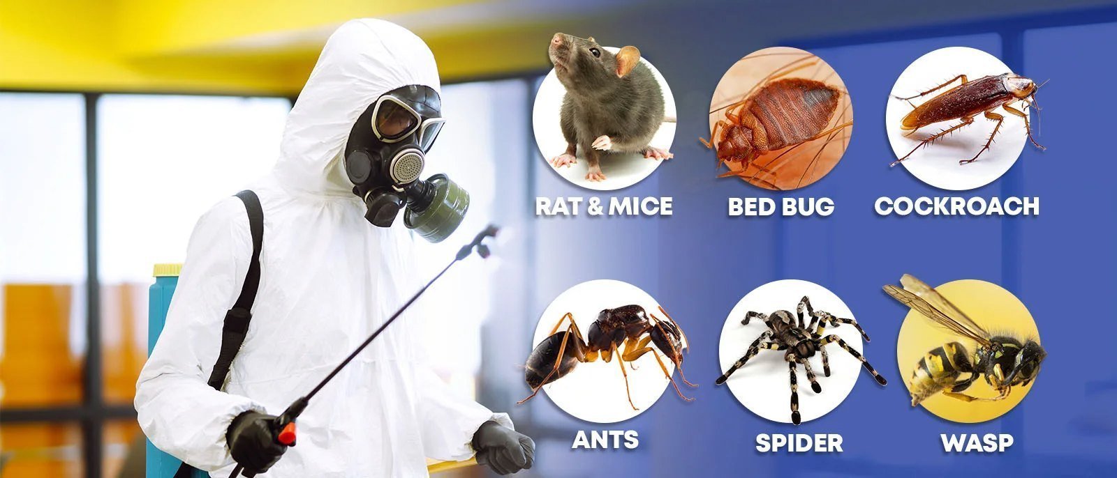 General Pest Control - Professional Pest Control Service in India