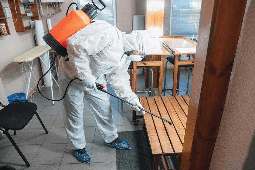 New Baiting Treatment Technique for Termite Control - Professional Pest Control Service